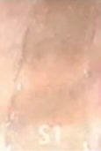 Janiah'z Beauty & Essentials Lipgloss