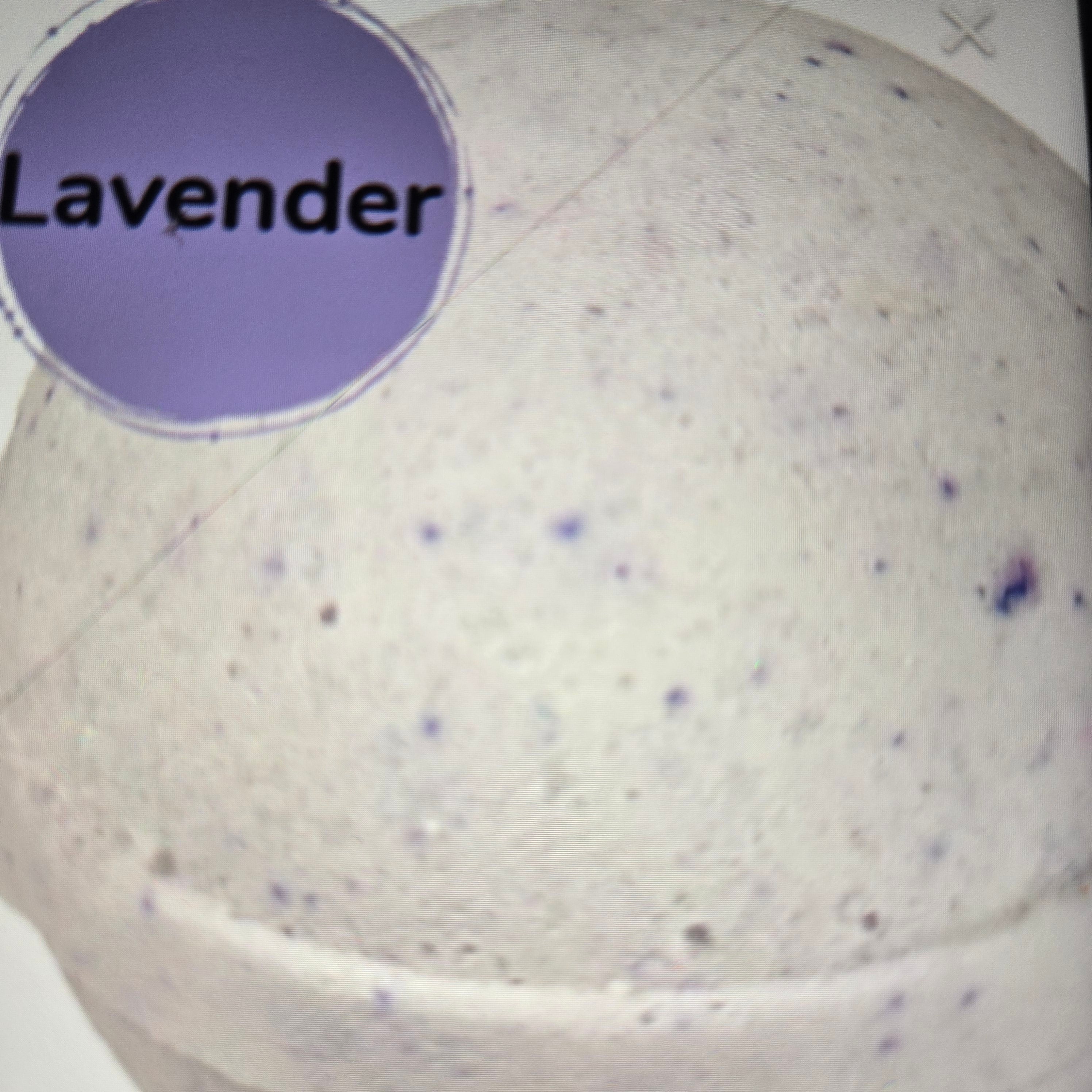 Janiah'z Beauty & Essentials Bath Bombs 4.5oz