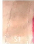 Janiah'z Beauty & Essentials Lipgloss